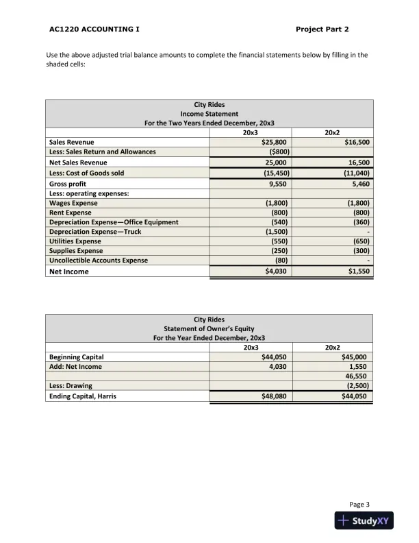 AC1220 Financial Statement Analysis and Loan Recommendation for City Rides and Extreme Scooter - Page 4 preview image