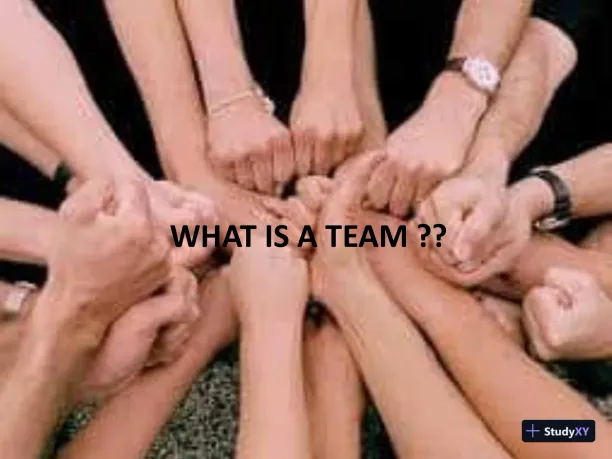 How To Create An �Effective� Teamwork Environment - Page 3 preview image