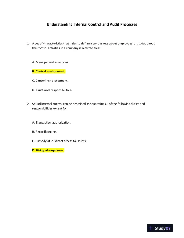 Understanding Internal Control and Audit Processes - Page 1 preview image