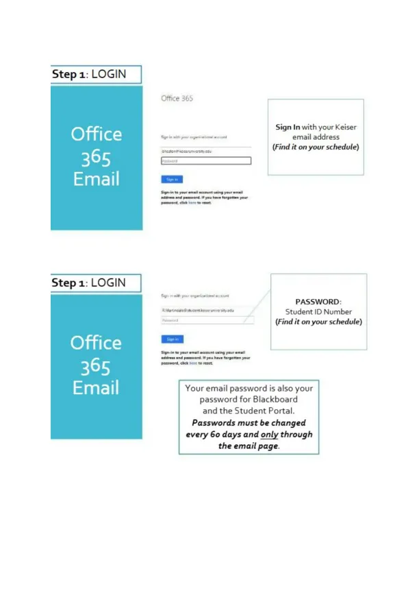 Navigating Blackboard-How to Access and Use the On - Page 3 preview image