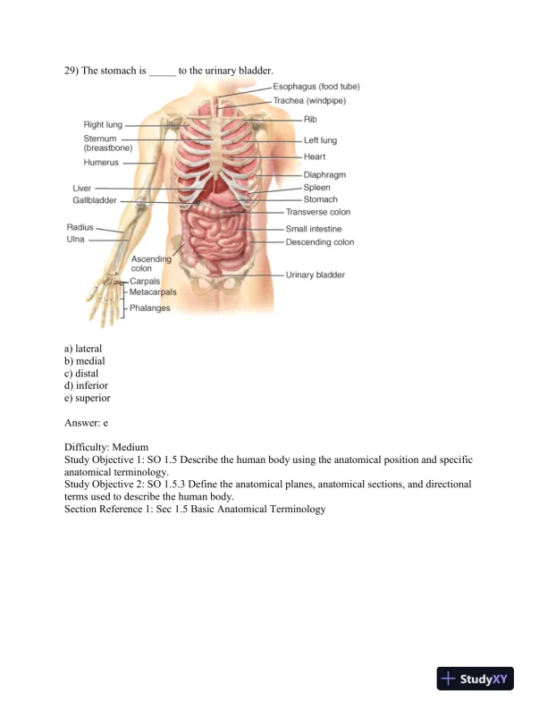 Test Bank For Principles Of Anatomy And Physiology, 13th Edition - Page 15 preview image