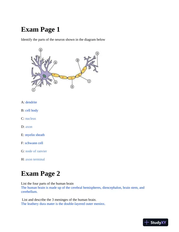 BIOD152 Anatomy and Physiology Practice Final Exam With Answers (12 Solved Questions) - Page 1 preview image