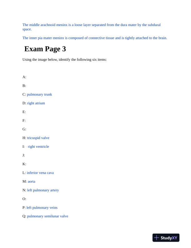 BIOD152 Anatomy and Physiology Practice Final Exam With Answers (12 Solved Questions) - Page 3 preview image