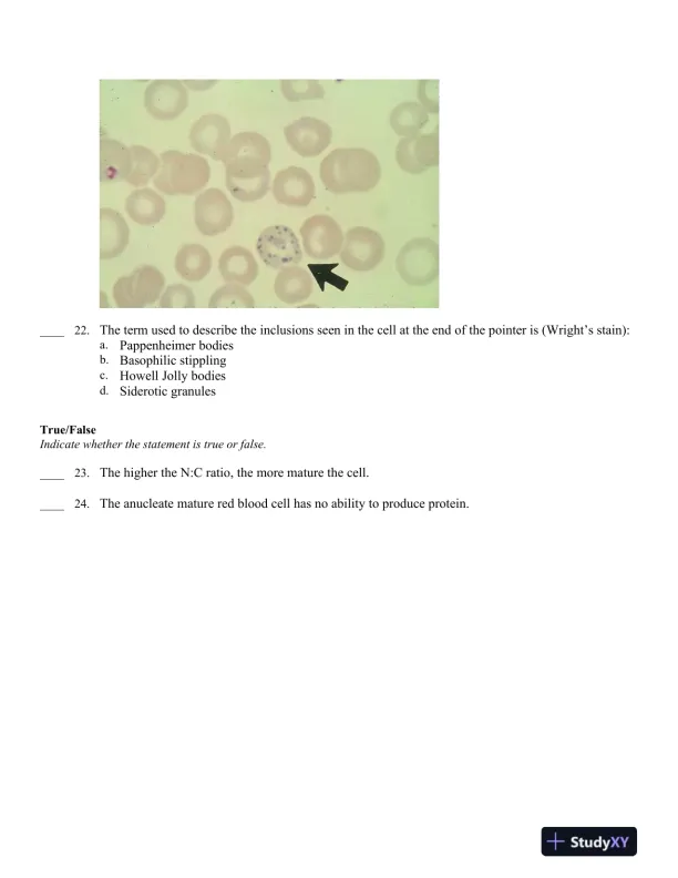 Hematology in Practice 2nd Edition Test Bank - Page 15 preview image