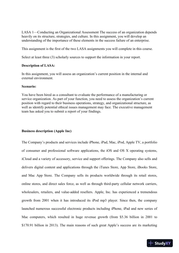 Organizational Assessment of Apple Inc.: Structure, Strategy, and Ethical Considerations - Page 3 preview image