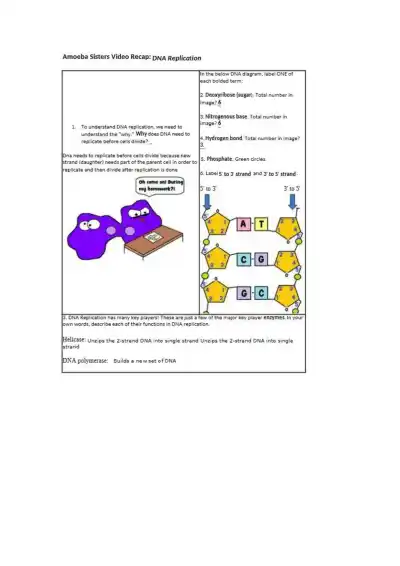 Amoeba Sisters Video Recap DNA Replication - Page 1 preview image