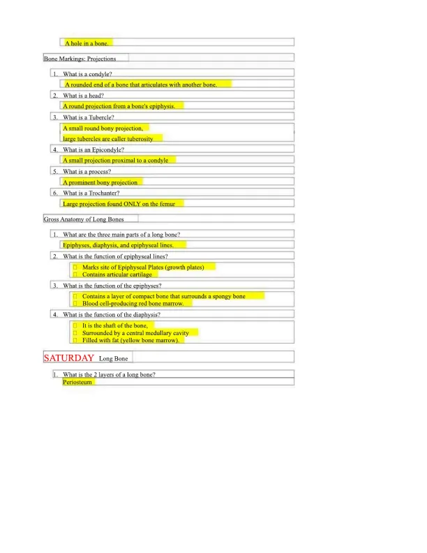 Practice test Lec 8 and 9 - Page 3 preview image