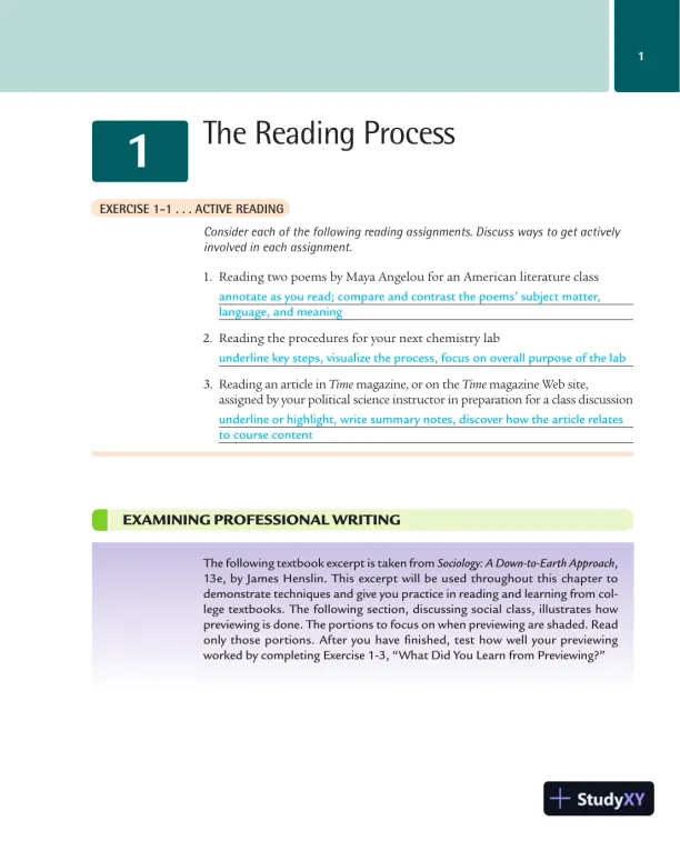 Solution Manual for Reading and Writing About Contemporary Issues, 3rd Edition - Page 3 preview image