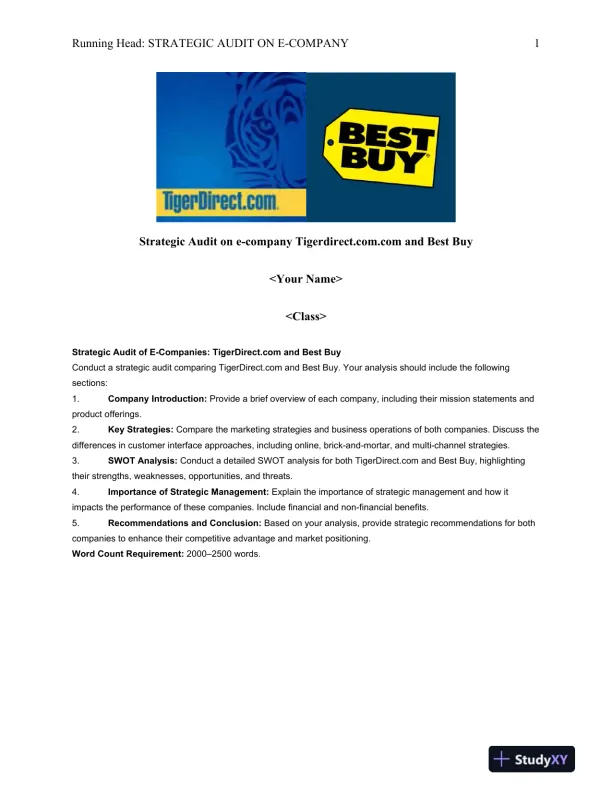 Strategic Audit on e-company Tigerdirect.com.com and Best Buy - Page 1 preview image