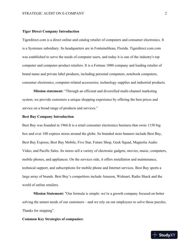 Strategic Audit on e-company Tigerdirect.com.com and Best Buy - Page 3 preview image