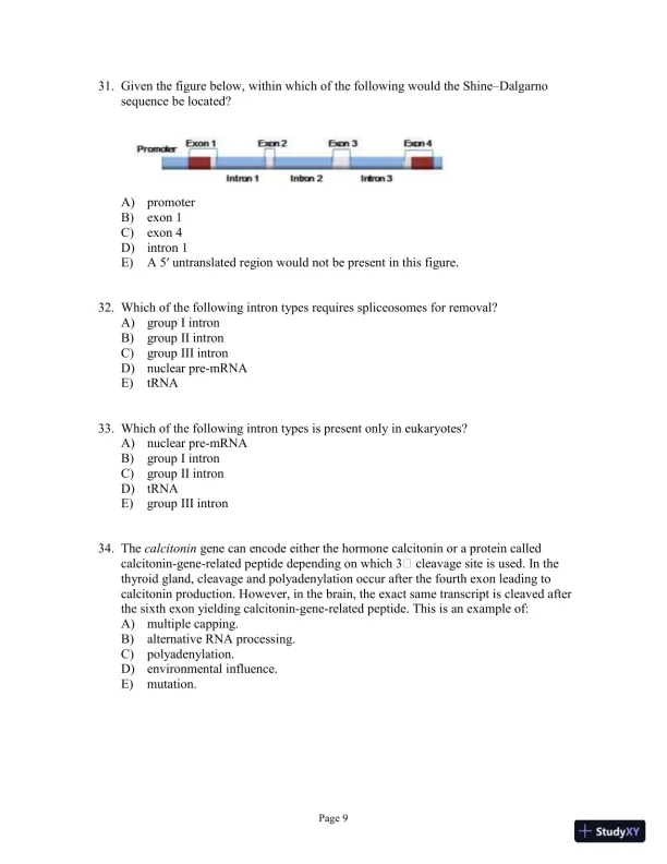 Test Bank for Genetics Essentials: Concepts and Connections, 3rd Edition - Page 10 preview image