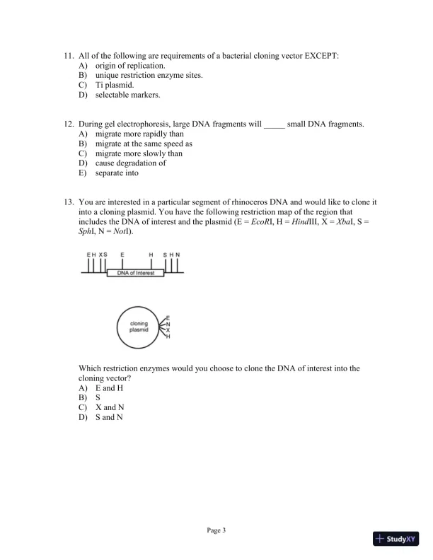 Test Bank for Genetics Essentials: Concepts and Connections, 3rd Edition - Page 23 preview image