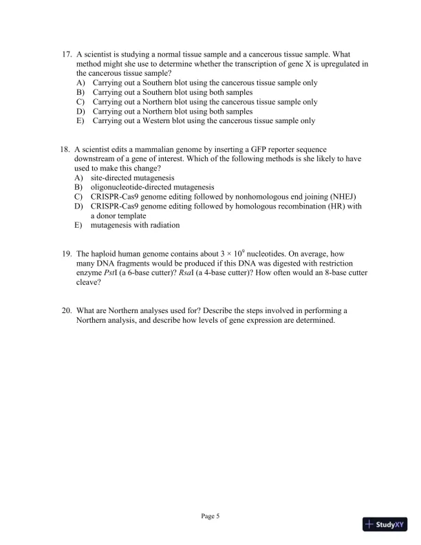 Test Bank for Genetics Essentials: Concepts and Connections, 3rd Edition - Page 25 preview image