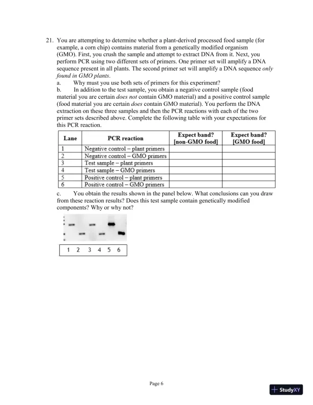 Test Bank for Genetics Essentials: Concepts and Connections, 3rd Edition - Page 26 preview image