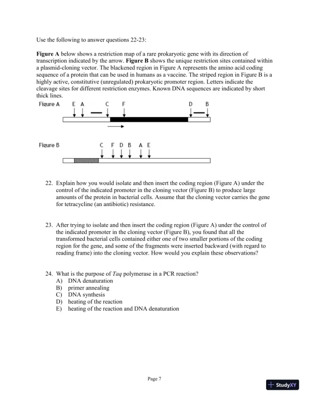 Test Bank for Genetics Essentials: Concepts and Connections, 3rd Edition - Page 27 preview image