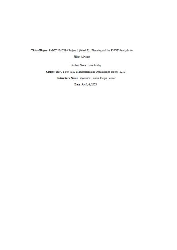 Strategic SWOT Analysis for Silver Airways - Page 1 preview image
