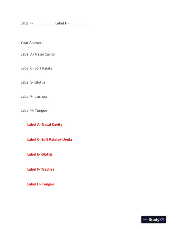 BIOD210 Anatomy and Physiology Final Exam With Answers (23 Solved Questions) - Page 10 preview image