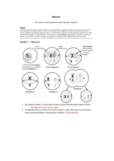 Fareeha Olaiya Meiosis POGIL - Page 1 preview image