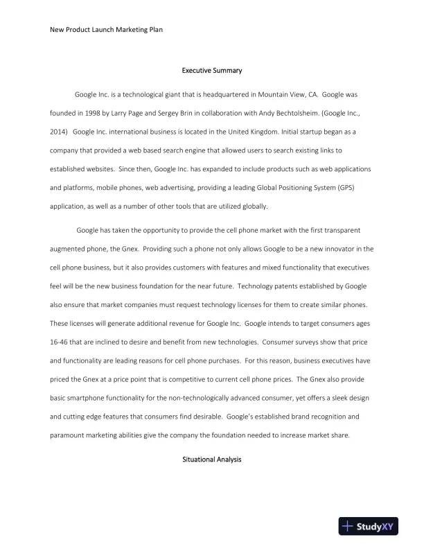 New Product Launch Marketing Plan - Page 3 preview image