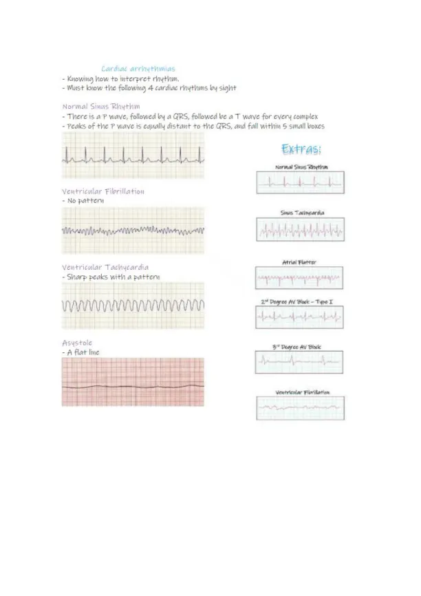 NCLEX Review Notes Mark Klimek Lectures - Page 19 preview image