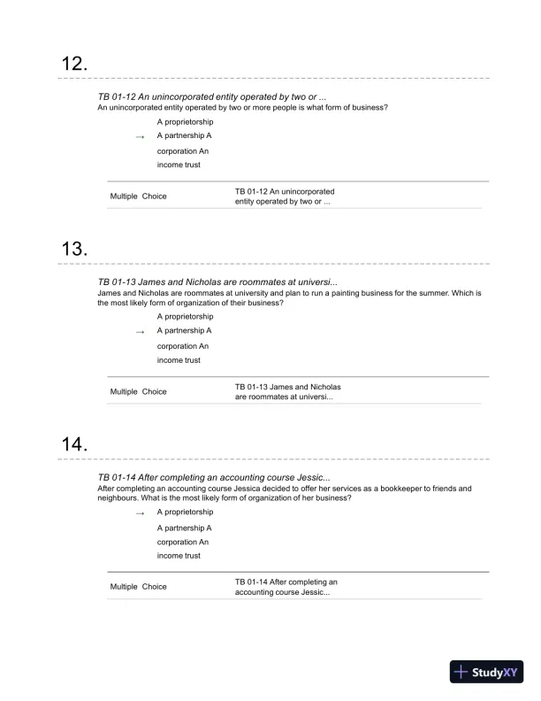 Financial Accounting: A Critical Approach 2013, 4th Edition Test Bank - Page 6 preview image