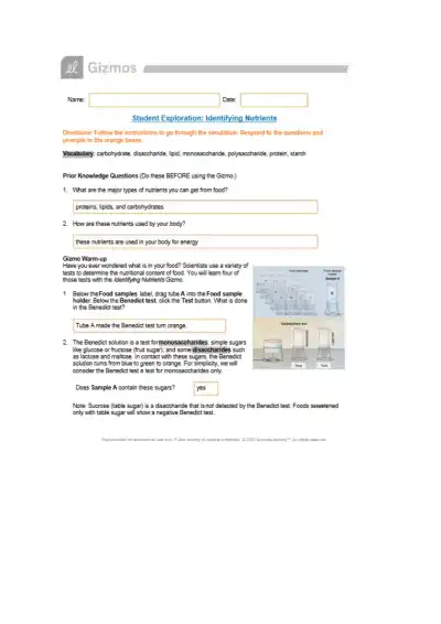 Gizmo Identifying Nutrients - Page 1 preview image