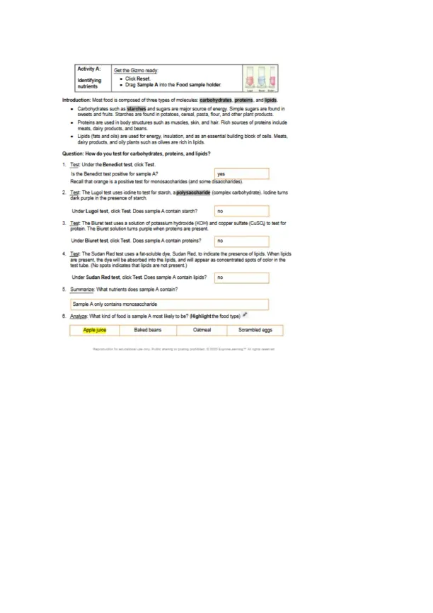 Gizmo Identifying Nutrients - Page 2 preview image