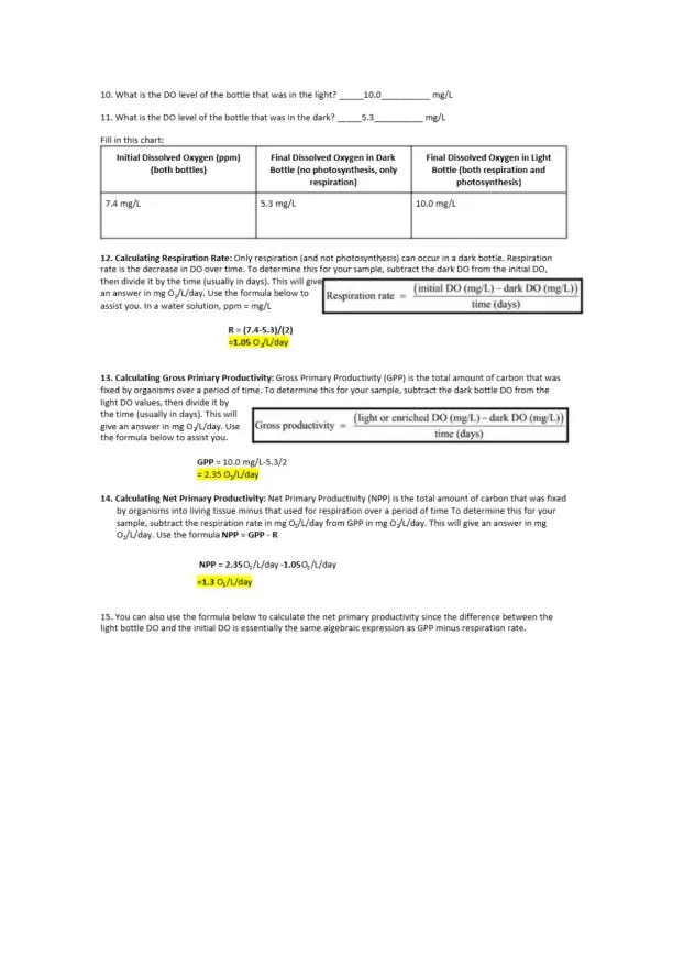 Calculating GPP and NPP - Page 2 preview image