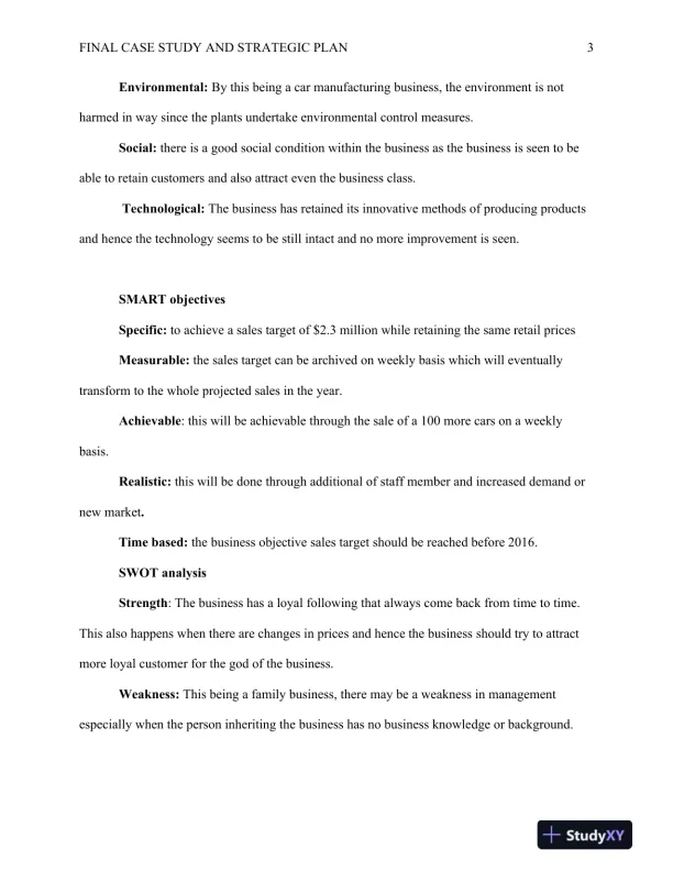 Final Case Study and Strategic Plan - Page 4 preview image