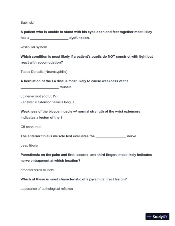 2024-2025 NBCE Practice test with Answers (303 Solved Questions) - Page 5 preview image