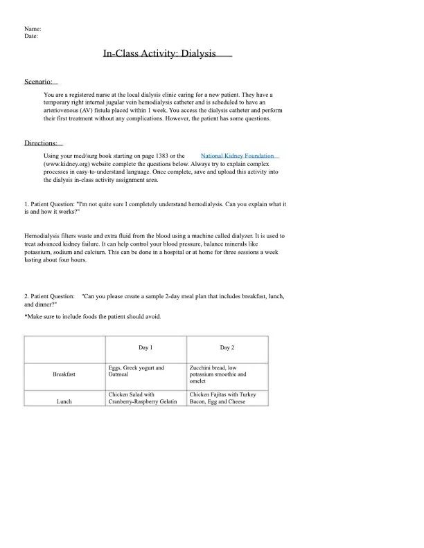 Understanding Hemodialysis Patient Guide and Meal - Page 1 preview image
