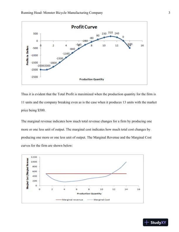 Production Decisions and Profit Maximization for Monster Bicycle Manufacturing Company in Perfectly Competitive Market Conditions - Page 4 preview image