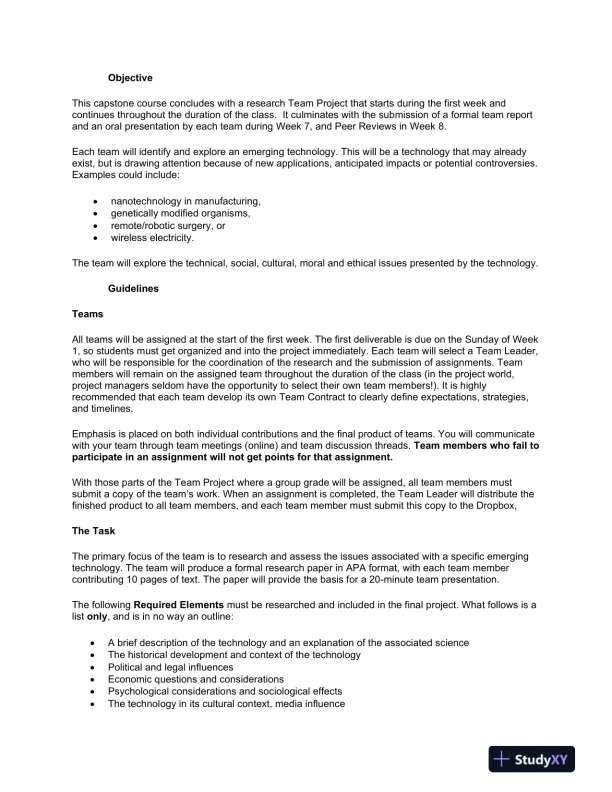 LAS432 Team Project Guidelines - Page 3 preview image