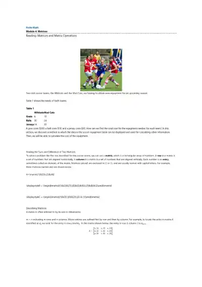 Module 4 Matrices - Page 1 preview image