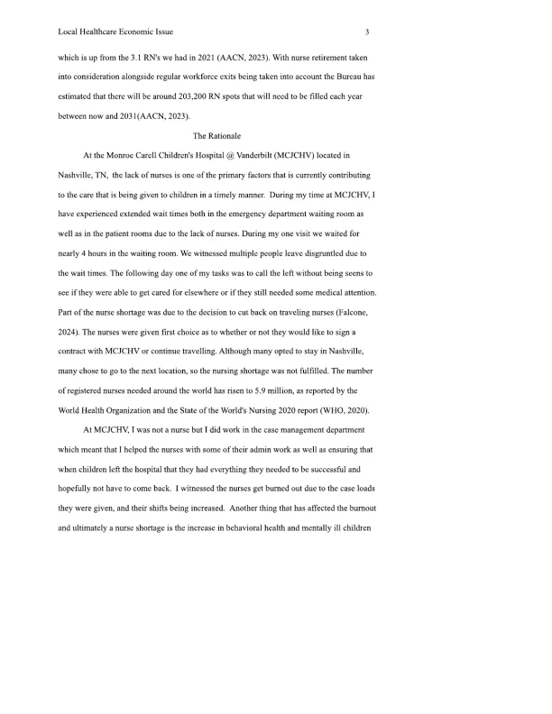 Identifying a Local Healthcare Economic Issue - Page 3 preview image
