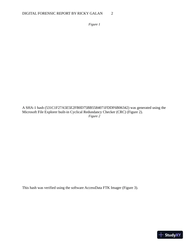 WGU C840 Digital Forensics in Cybersecurity (1 Completed Essay) - Page 3 preview image