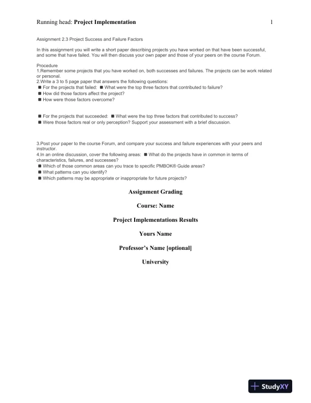 Analyzing Success and Failure Factors in Outsourcing Projects: A Case Study of ERP Implementations - Page 1 preview image