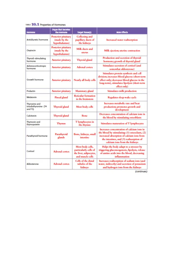 Endocrine System - Page 3 preview image
