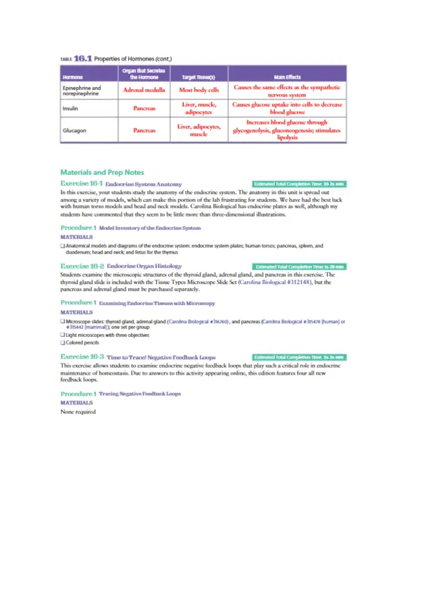 Endocrine System - Page 4 preview image