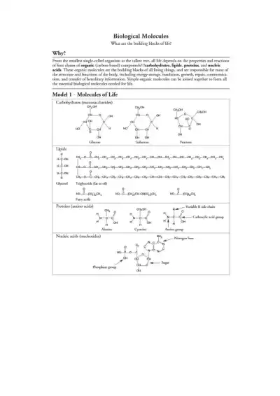 Kami Export Biological Molecules POGIL - Page 1 preview image