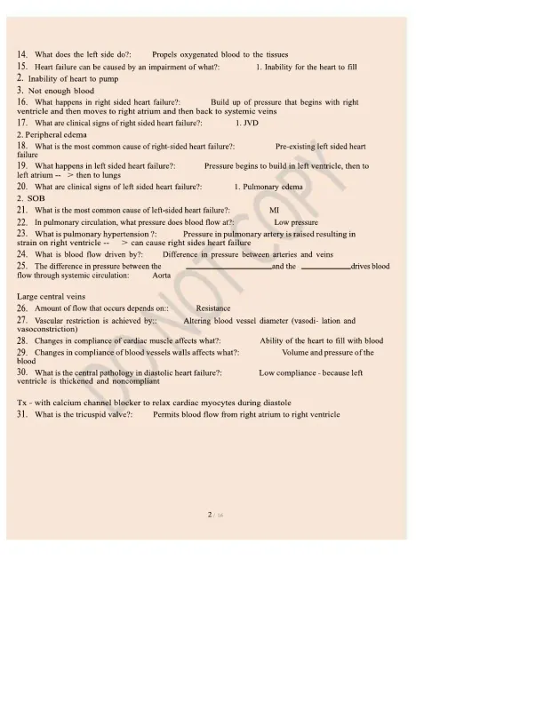 Human Anatomy and Physiology-Cardiovascular Questi - Page 2 preview image