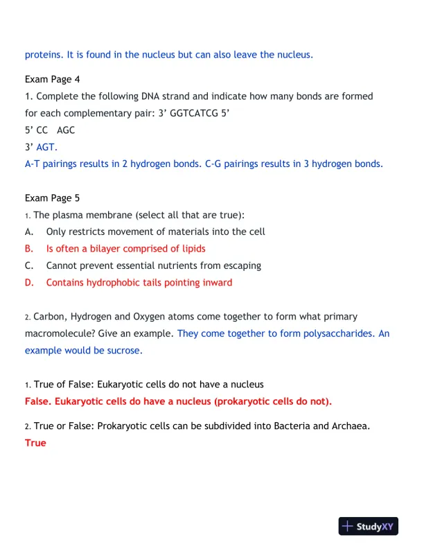 2024-2025 BIOD171 Portage Learning Biology Final Exam With Answers (170 Solved Questions) - Page 11 preview image
