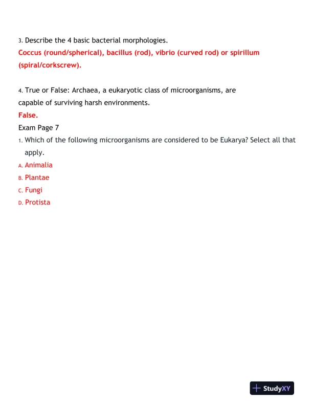 2024-2025 BIOD171 Portage Learning Biology Final Exam With Answers (170 Solved Questions) - Page 12 preview image