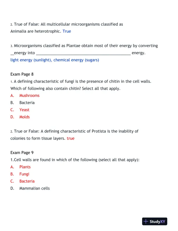 2024-2025 BIOD171 Portage Learning Biology Final Exam With Answers (170 Solved Questions) - Page 13 preview image