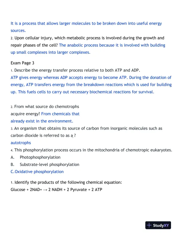 2024-2025 BIOD171 Portage Learning Biology Final Exam With Answers (170 Solved Questions) - Page 16 preview image