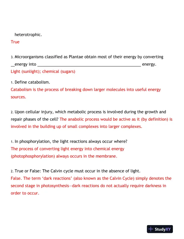 2024-2025 BIOD171 Portage Learning Biology Final Exam With Answers (170 Solved Questions) - Page 3 preview image