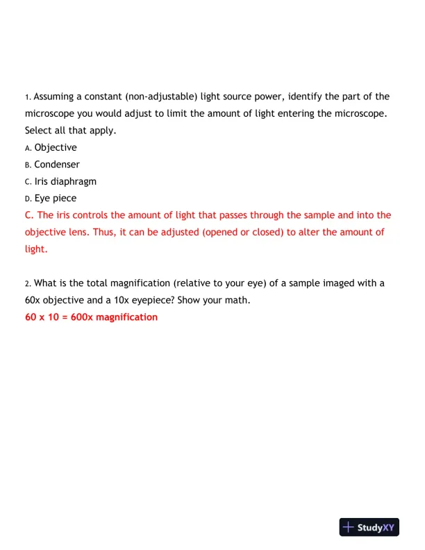 2024-2025 BIOD171 Portage Learning Biology Final Exam With Answers (170 Solved Questions) - Page 4 preview image