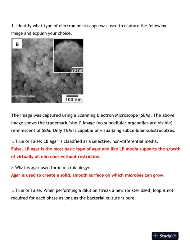 2024-2025 BIOD171 Portage Learning Biology Final Exam With Answers (170 Solved Questions) - Page 5 preview image