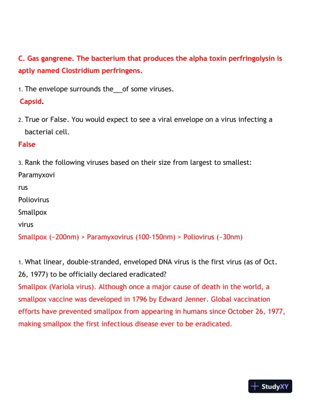 2024-2025 BIOD171 Portage Learning Biology Final Exam With Answers (170 Solved Questions) - Page 8 preview image