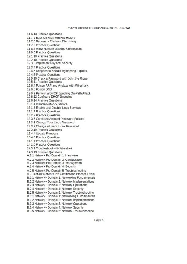 Network Configuration and Troubleshooting Practice - Page 4 preview image